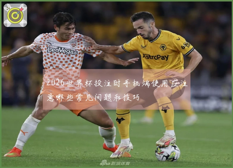 2026世界杯投注时手机端使用应注意哪些常见问题和技巧