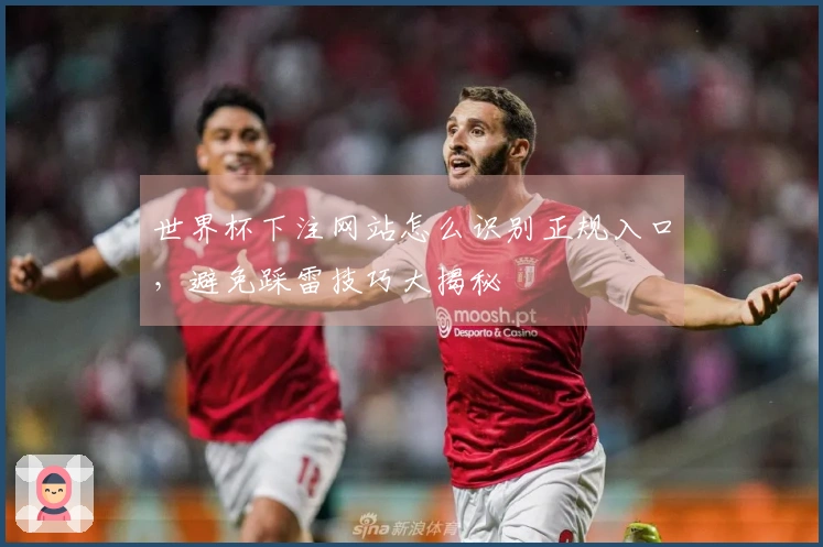 世界杯下注网站怎么识别正规入口，避免踩雷技巧大揭秘
