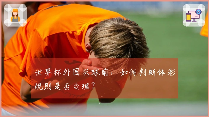 世界杯外围买球前，如何判断体彩规则是否合理？