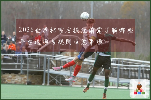 2026世界杯官方投注前需了解哪些平台选项与规则注意事项