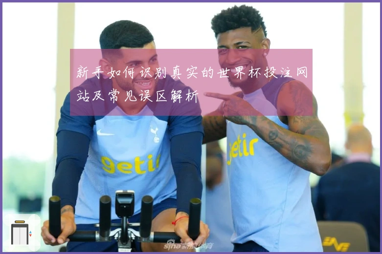 新手如何识别真实的世界杯投注网站及常见误区解析