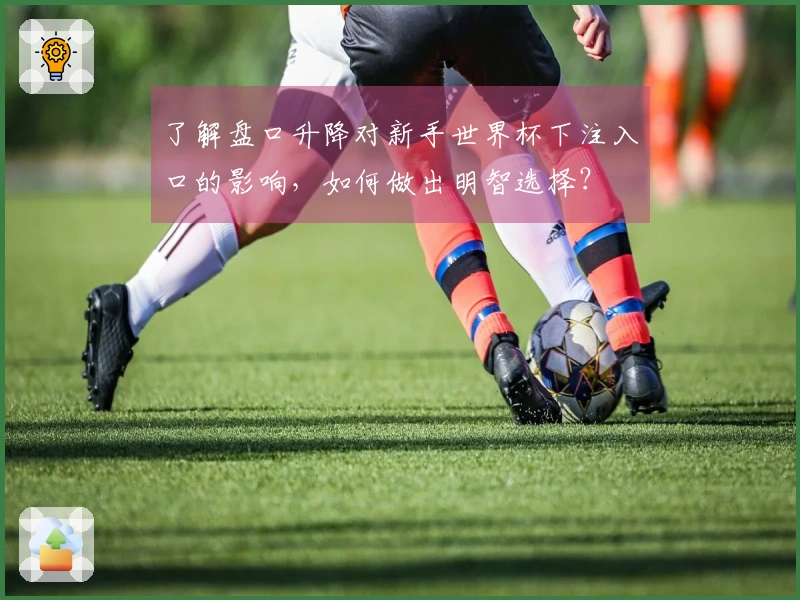 了解盘口升降对新手世界杯下注入口的影响，如何做出明智选择？
