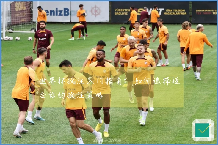 世界杯投注入门指南：如何选择适合你的投注策略