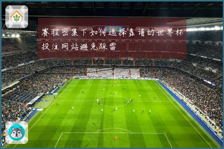 赛程密集下如何选择靠谱的世界杯投注网站避免踩雷