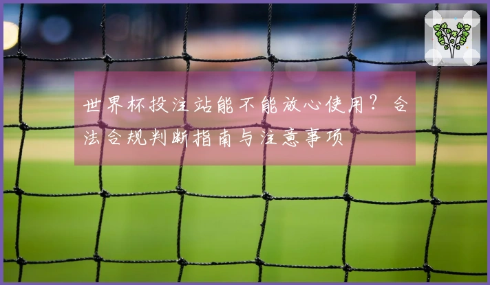 世界杯投注站能不能放心使用？合法合规判断指南与注意事项