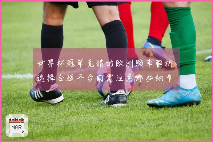世界杯冠军竞猜的欧洲赔率解析，选择合适平台前需注意哪些细节