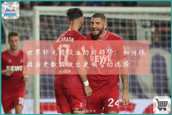 世界杯竞猜投注的新趋势：如何根据历史数据做出更明智的选择