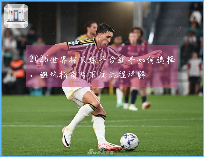 2026世界杯买球平台新手如何选择，避坑指南与下注流程详解