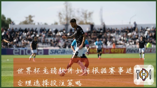 世界杯竞猜软件如何根据赛事进程合理选择投注策略