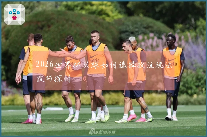 2026世界杯买球如何选择投注玩法技巧探讨