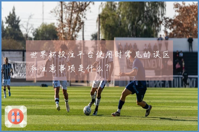 世界杯投注平台使用时常见的误区和注意事项是什么？