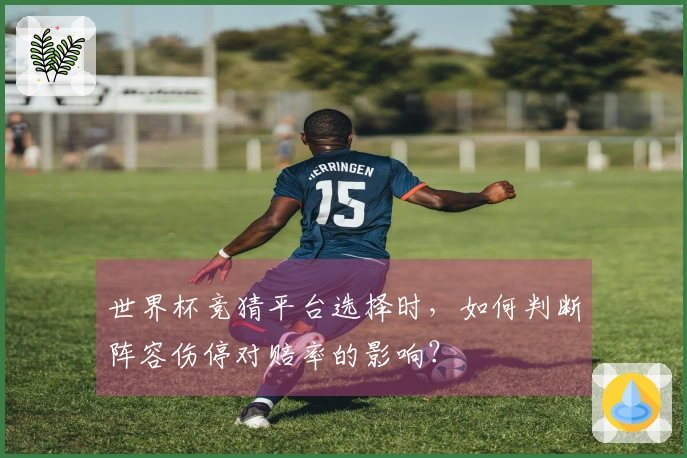 世界杯竞猜平台选择时，如何判断阵容伤停对赔率的影响？