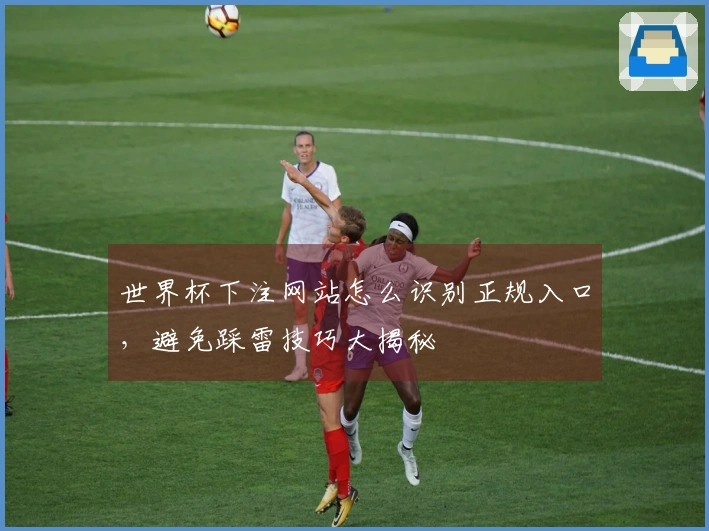 世界杯下注网站怎么识别正规入口，避免踩雷技巧大揭秘