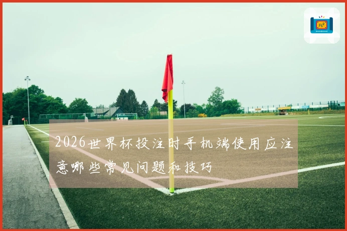 2026世界杯投注时手机端使用应注意哪些常见问题和技巧