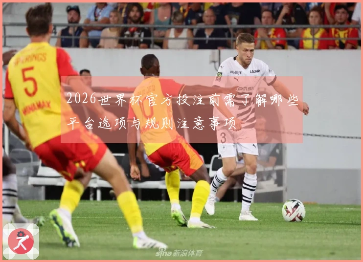2026世界杯官方投注前需了解哪些平台选项与规则注意事项