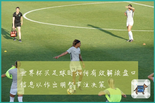 世界杯买足球时如何有效解读盘口信息以作出明智下注决策