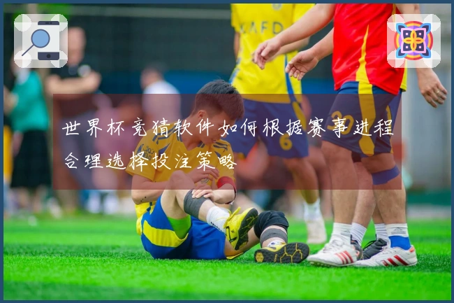 世界杯竞猜软件如何根据赛事进程合理选择投注策略