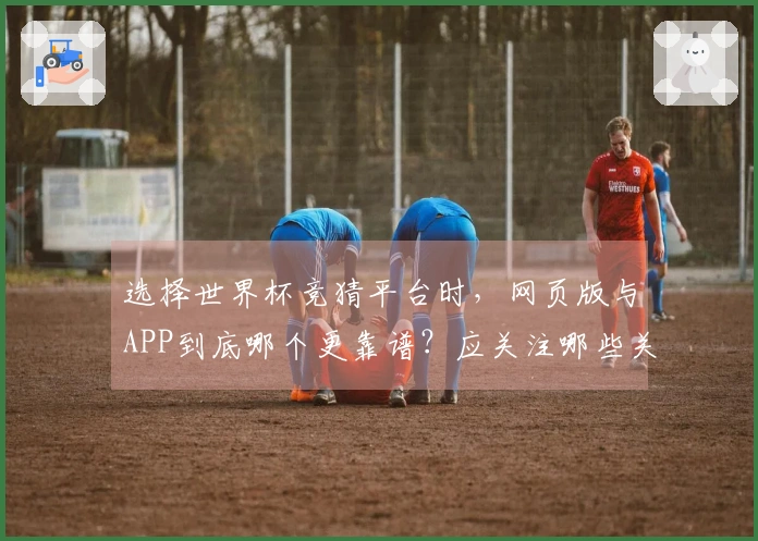 选择世界杯竞猜平台时，网页版与APP到底哪个更靠谱？应关注哪些关键因素？